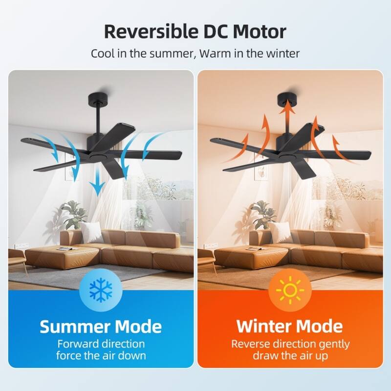 MLiAN 48in 5-Blade Indoor Ceiling Fan with Remote