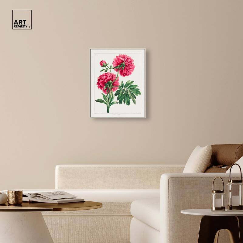 Double Peony (1789) Canvas by Art Remedy
