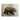 Davies Babies 'North American Brown Bear' Floating Brushed Aluminum Art