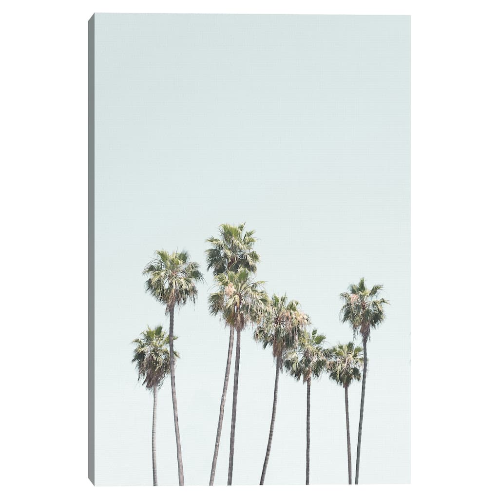 California Palms by Sisi and Seb Canvas Art Print