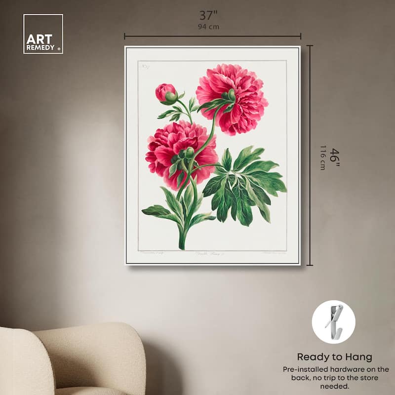 Double Peony (1789) Canvas by Art Remedy