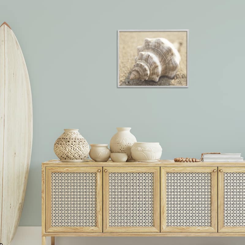 Stupell Neutral Tone Conch Shell Framed Giclee Art Design By Dora Rotondella