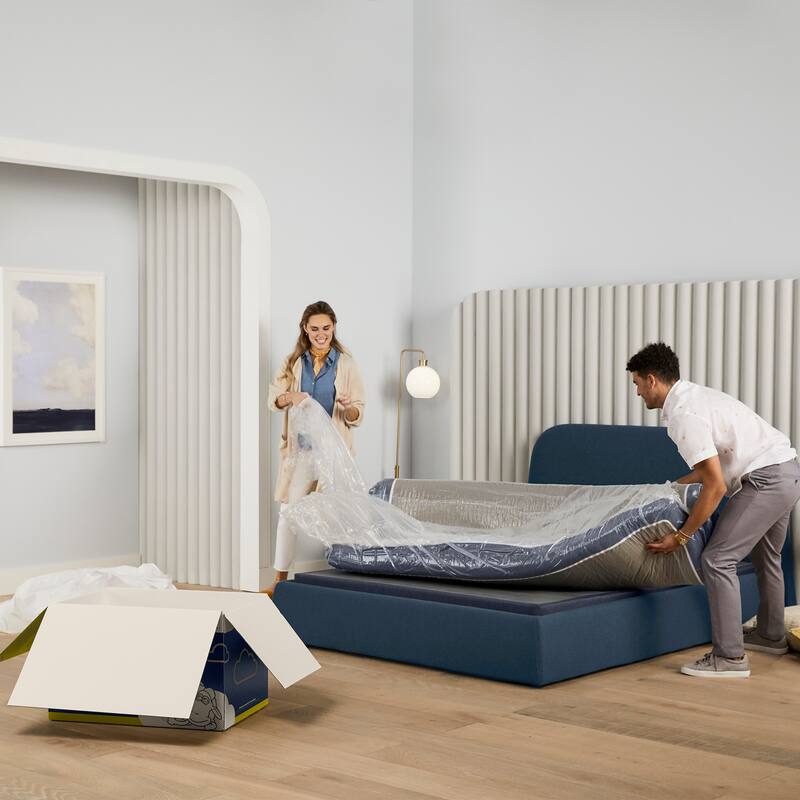 Serta Perfect Sleeper Nestled Night 10" Mattress in a Box