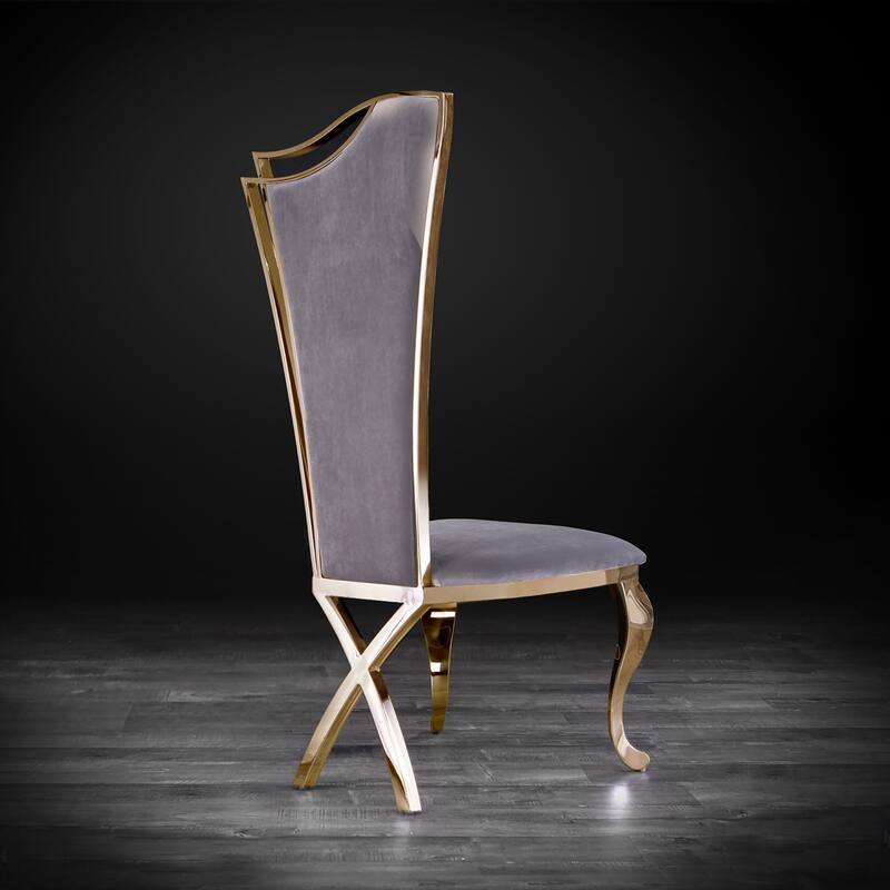 Belladonna Titanium Gold Stainless Steel Dining Chair, Set of 2