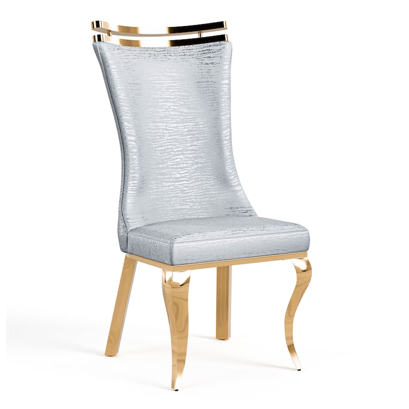 Furniture of America Thaddeus Glam Stainless Steel Upholstered Dining Side Chair (Set of 2)