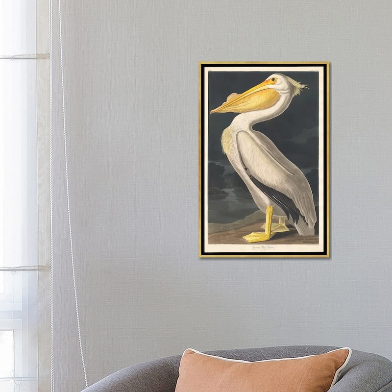 iCanvas "American White Pelican" by John James Audubon Framed Canvas Print