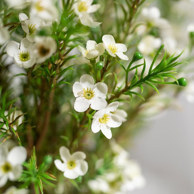 Silk Decorative Artificial Wax flower(Pack of 1 Branch)
