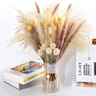 VECELO 51 pieces natural dry pampas grass decorations - 51 pieces