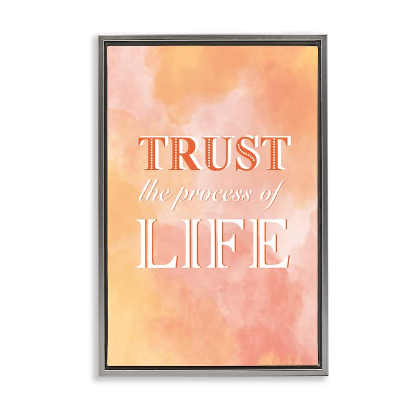 Stupell Trust The Process Of Life Framed Floater Canvas Wall Art Design By Martina Pavlova - 21 x 31 - Grey