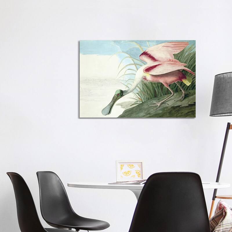 iCanvas "Roseate Spoonbill, The Birds Of America" by John J. Audubon, pub. 1827-38" by John James Audubon Canvas Print - 26x40x1.5