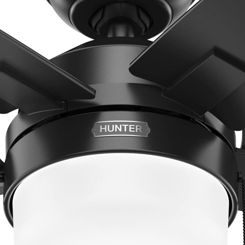 Hunter Anisten Ceiling Fan with LED Light Kit and Pull Chain - Casual Modern Contemporary - ENERGY STAR