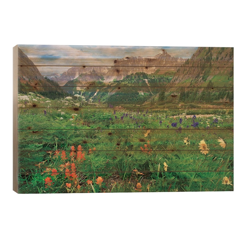 Wildflowers In Yankee Boy Basin, San Juan Mts, Colorado Print On Wood by Tim Fitzharris - Multi-Color - 18x26x1.5