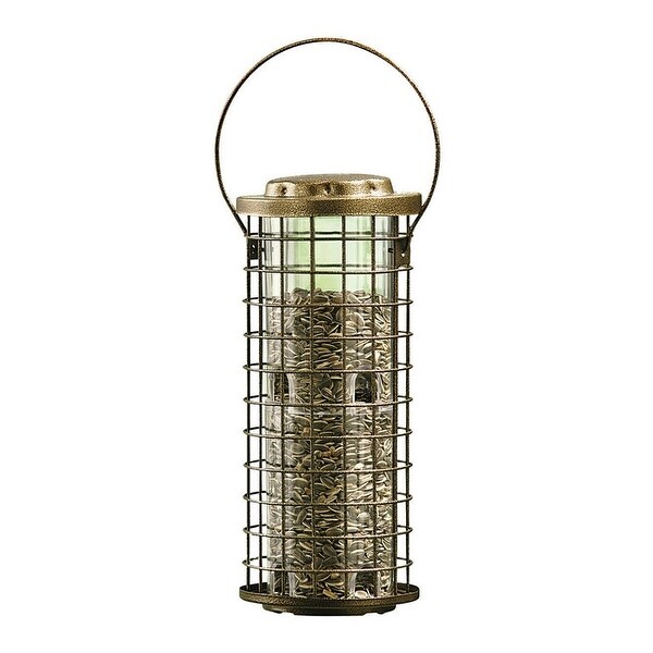 Shop Perky Pet 114 Squirrel Stumper Bird Feeder 3 Lbs 12 9 X7 5