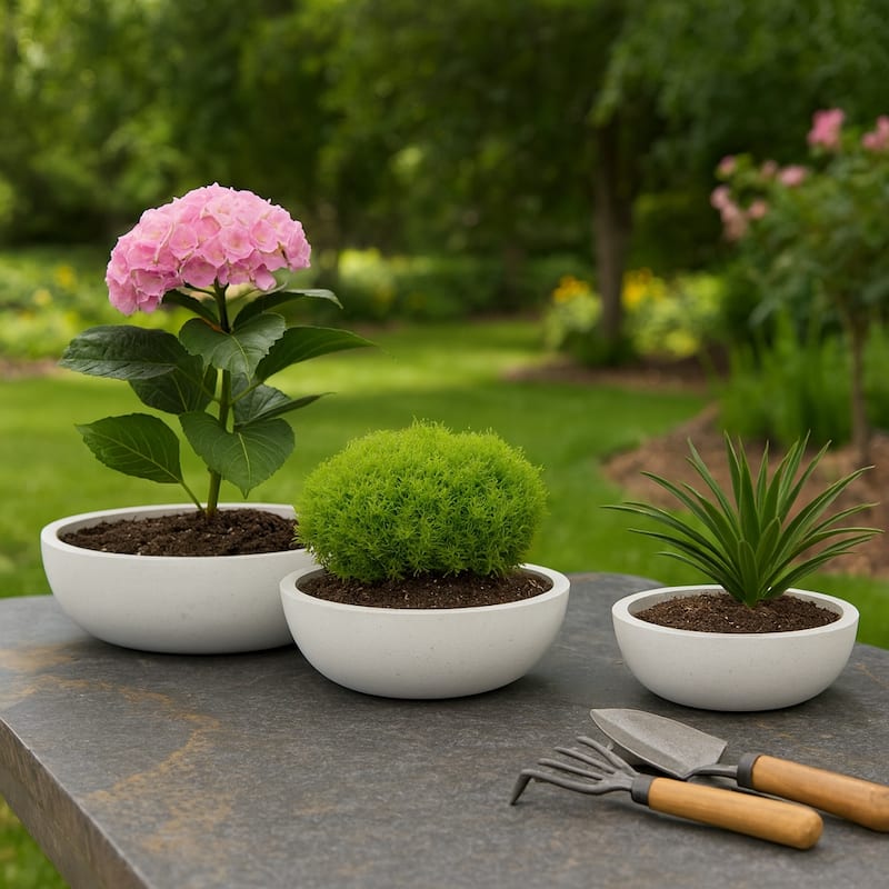Resin Bowl Planters Round Decorative Plant Containers (Set of 3) - 21" x 21" x 6"
