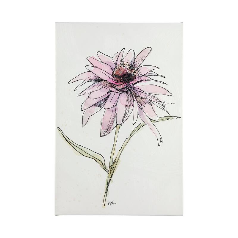Echinacea I (30 x 45) Canvas Art Print - Large