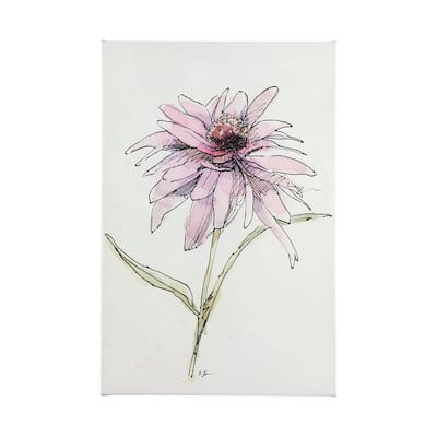 Echinacea I (30 x 45) Canvas Art Print