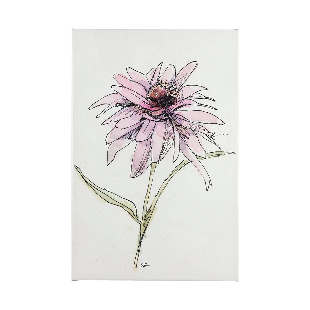 Echinacea I (30 x 45) Canvas Art Print