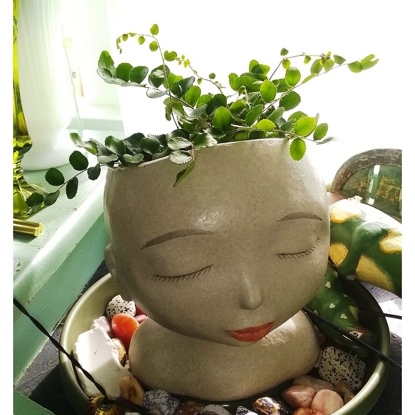Home & Living Planters & Pots plants look like hair Head of a lady
