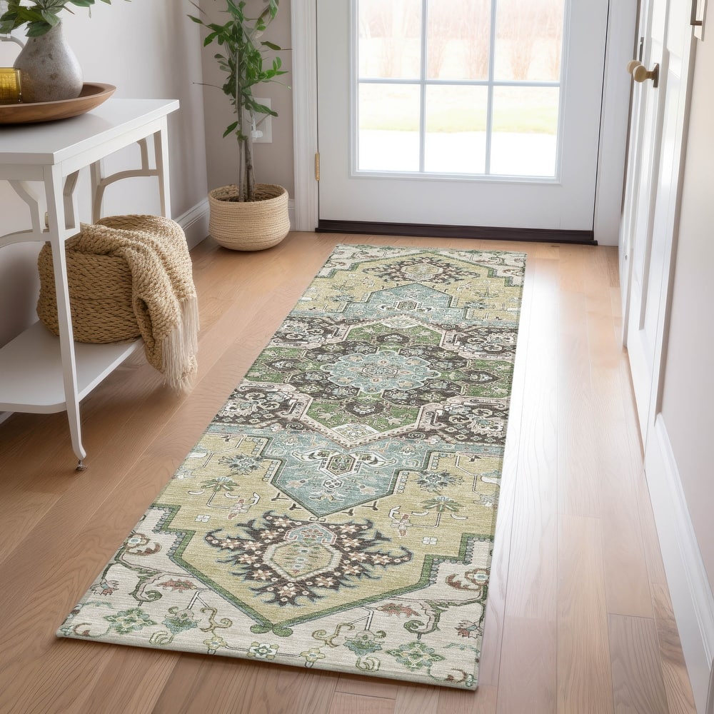 Machine Washable Indoor/ Outdoor Persian Traditional Chantille Rug