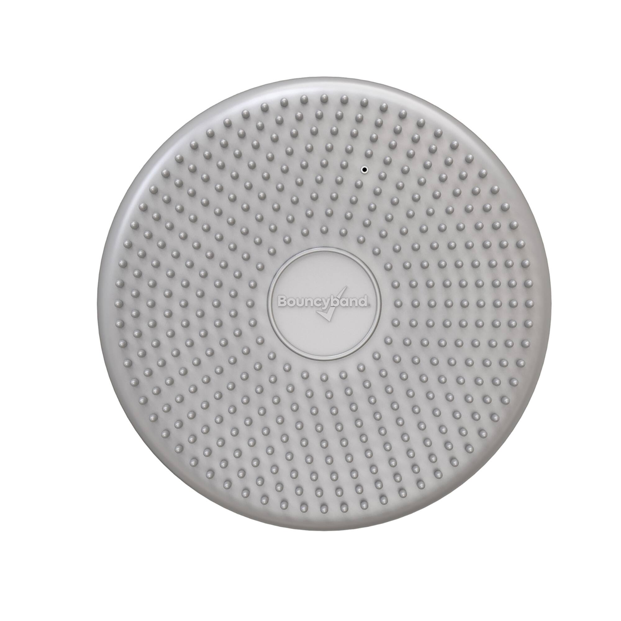 Bouncyband® Little Wiggle Seat Sensory Cushion, Silver Bed Bath & Beyond 30648407