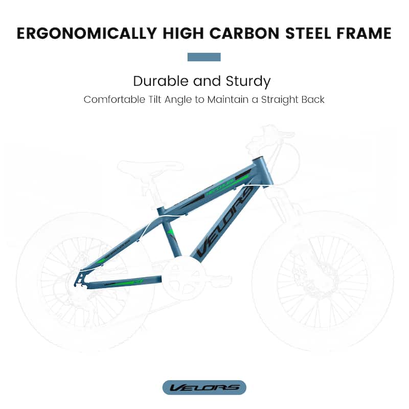 20 Inch Fat Tire Bike Adult 7 Speed Mountain Bike