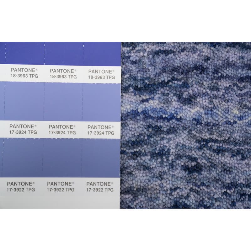 Hand Knotted Oriental 100% Wool Carpet Tribal Animal Pictorial Navy Blue & Blues Gabbeh Area Rug - 11' 11'' X 5' 2''
