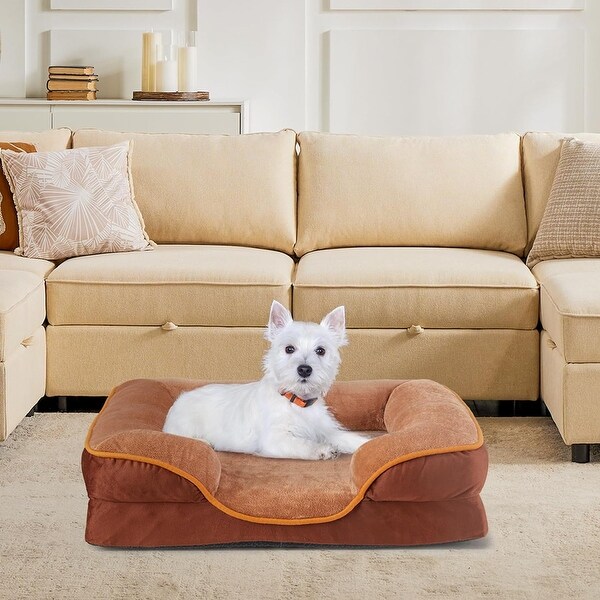Cool dog beds for small dogs discount