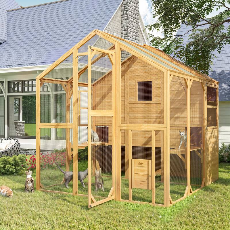 Cat Catio Window Box for 6 to 8 Kittens, Lockable House with 5 Windows