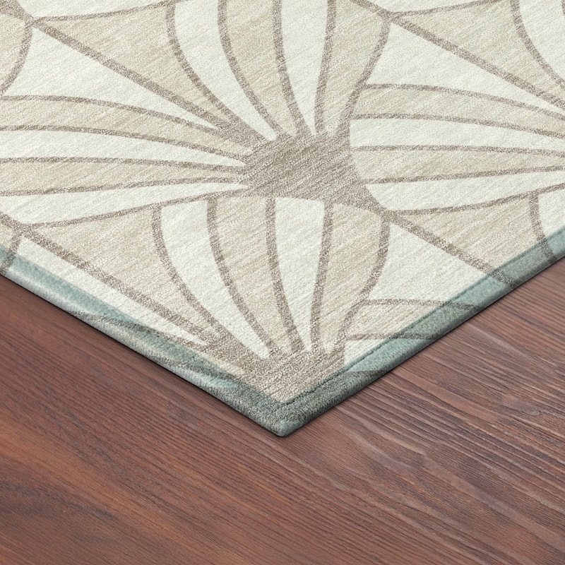 Machine Washable Indoor/ Outdoor Casual Kim Chantille Rug