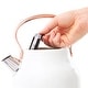 preview thumbnail 46 of 55, Haden Heritage 1.7 Liter Stainless Steel Electric Tea Kettle