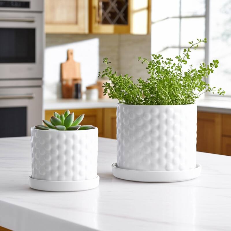 Ceramic Planter Dot Texture Gloss Finish (Set of 2) - 10", 9" White - 12" x 12" x 10"