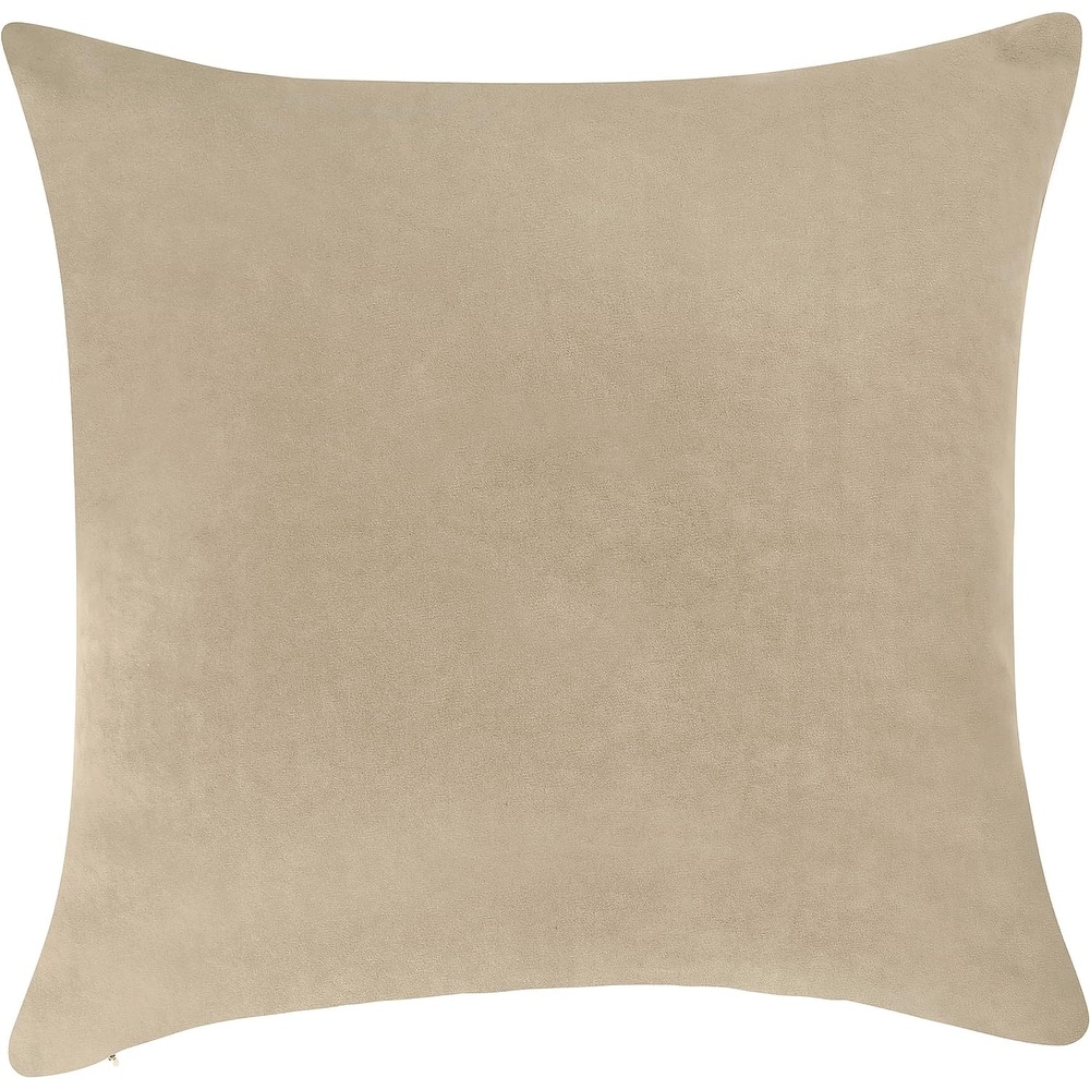 Delara Pack of 1 Velvet Decorative Throw Pillow Cover 20x20 Inches, Cushion Cover, Soft and Breathable Fabric, Hidden Zipper