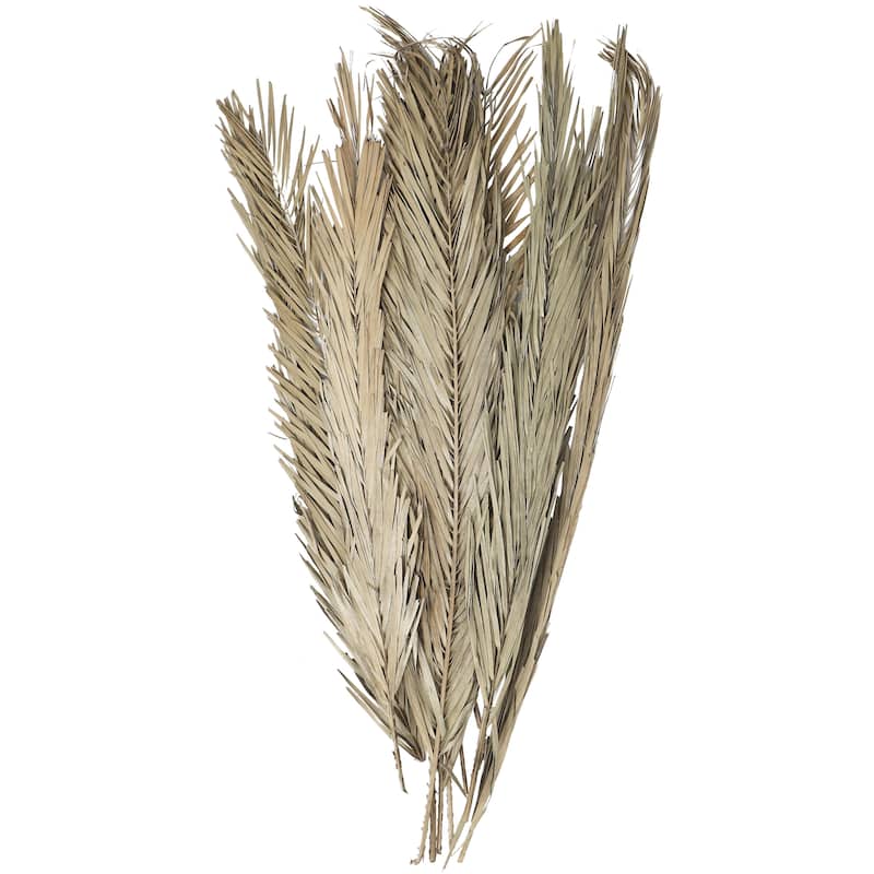 Dried Plant Palm Leaves Tall Home Decor Natural Foliage with Grass - Light Brown, Dark Brown, Green - Roche River Decor