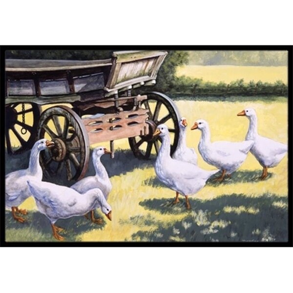 Carolines Treasures BDBA0234JMAT Geese by Daphne Baxter Indoor or Outdoor Mat 24 x 36