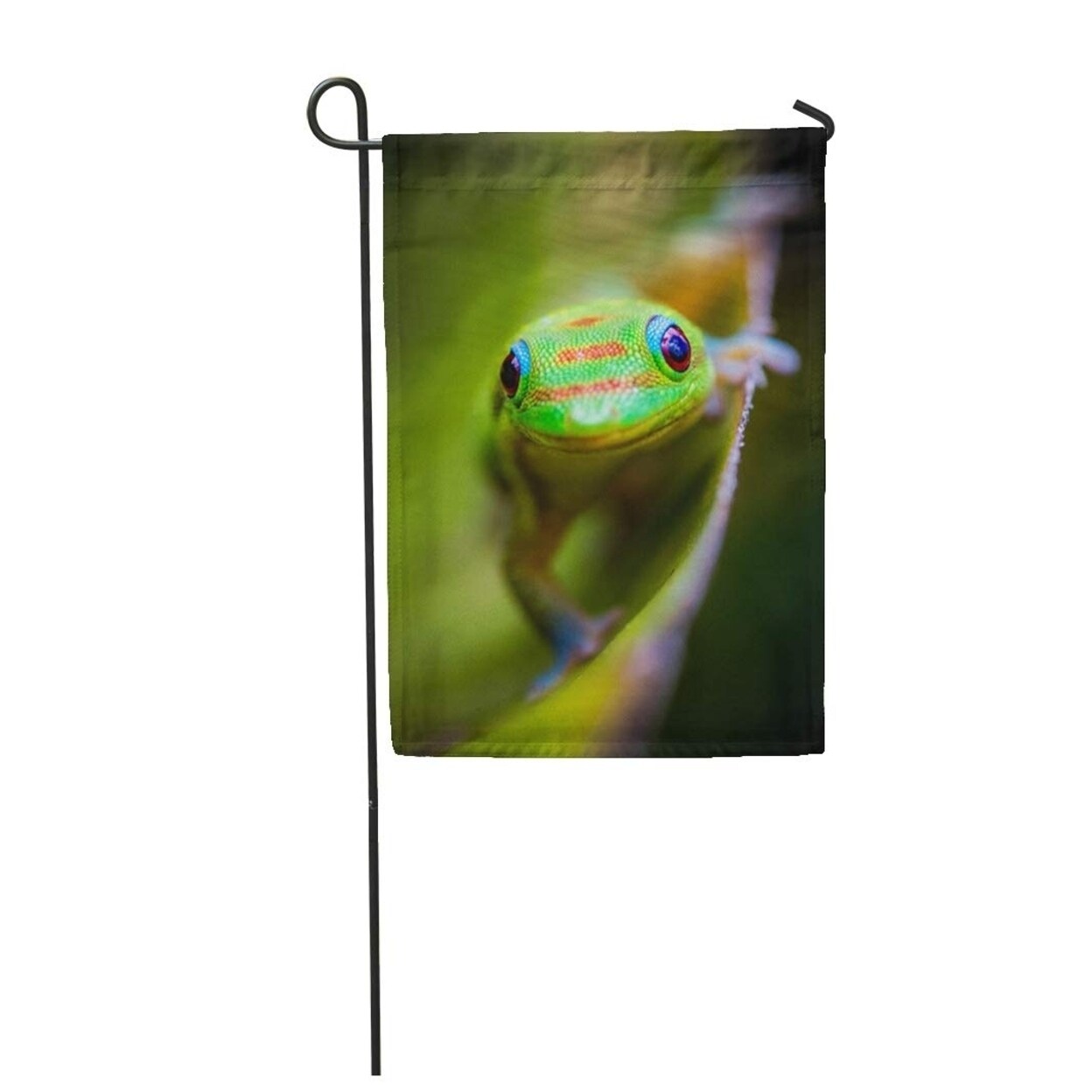 Shop Geico Madagascar Gold Dusted Day Gecko Hanging Out In Hawaii Lizard Aloha Leaf Garden Flag Decorative Flag House Banner Overstock 31387441