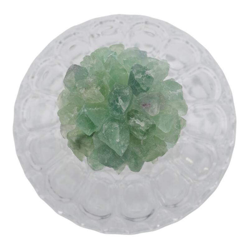 Glass Stone Jar with Fauna Lid Detailing and Textured Transparent Body