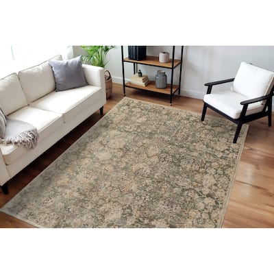 Dynamic Rugs Charlotte Traditional Area Rug
