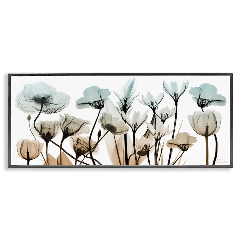 Stupell Mixed X-Ray Flowers Framed Giclee Art Design by Albert Koetsier - 24 x 10 - Black