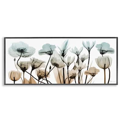 Stupell Mixed X-Ray Flowers Framed Giclee Art Design by Albert Koetsier