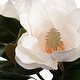 preview thumbnail 5 of 4, Uttermost Middleton Magnolia Flower Centerpiece - 15.75" H