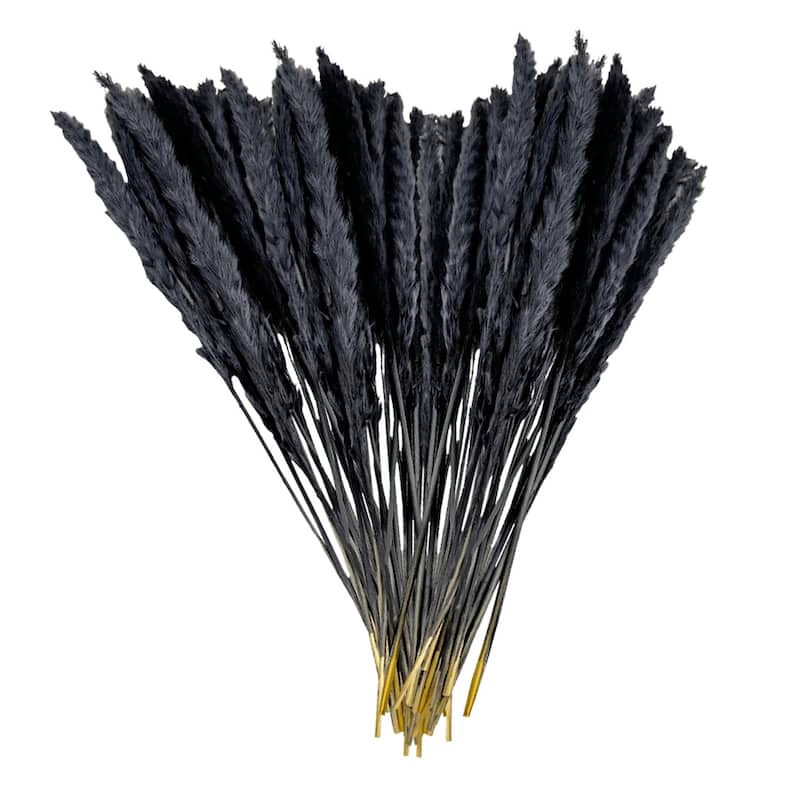 Bundle of 4 Preserved flowers Small pampass grass, 20" long - 20 inch - Black
