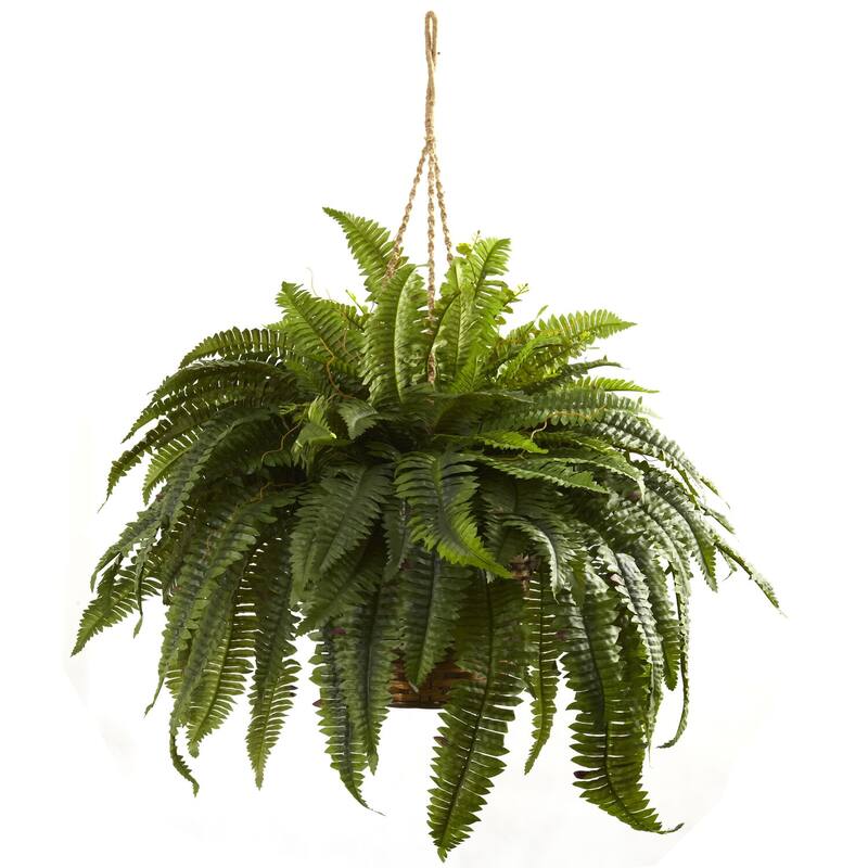 Large Hanging Fern Basket - 36" Decorative Plant Display for Home Office - Elegant Greenery Decor