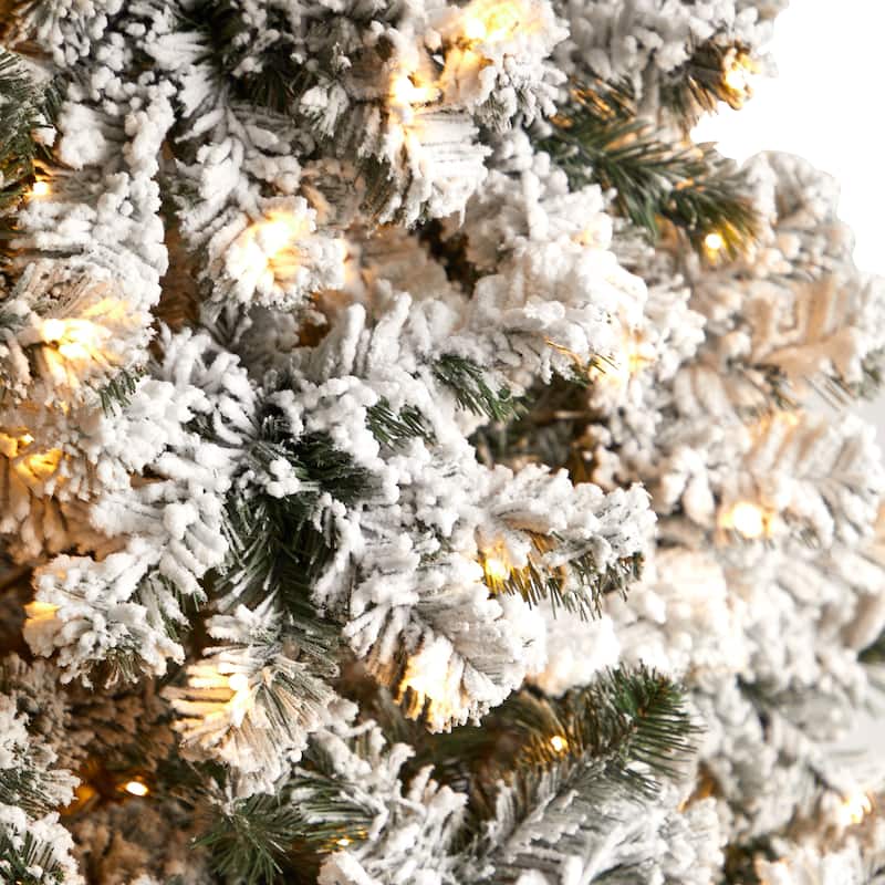 10' Pre-Lit Flocked West Virginia Fir Artificial Christmas Tree, Warm Clear LED Lights - over-10-feet