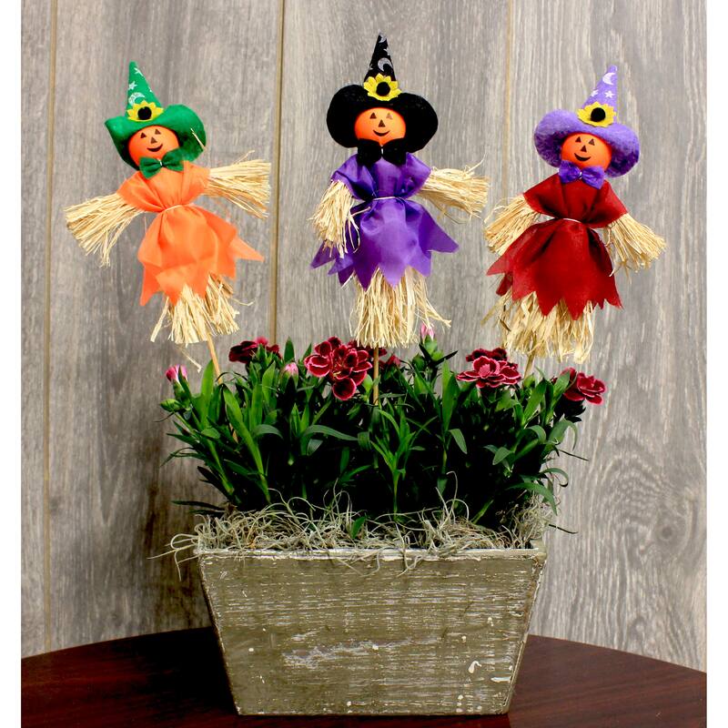 Small 8" Halloween Pumpkin With Witch Hat Pick on 10" Wooden Stick, 3 Assorted, Set of 12