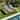 Outdoor Chaise Lounge Chair with 5-Position Adjustable Backrest and Wood Side Table