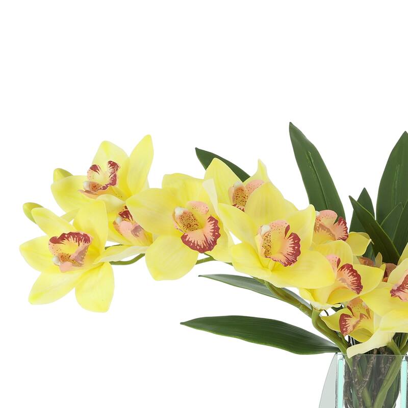 Orchid Arrangement in Mirror Vase - 24