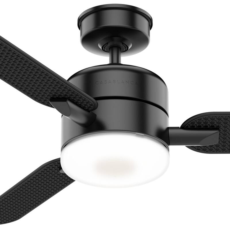 Casablanca 54" Paume Outdoor Ceiling Fan with LED Light Kit and Wall Control - Coastal - DAMP RATED!