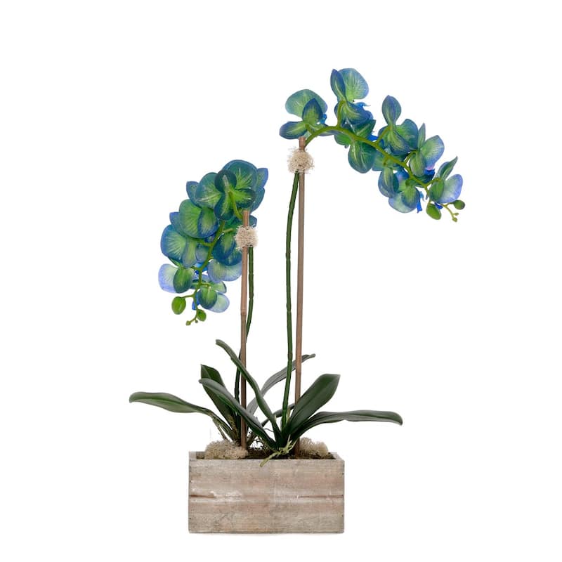 Blue Orchid Flower Arrangement in White Wash Wood Pot