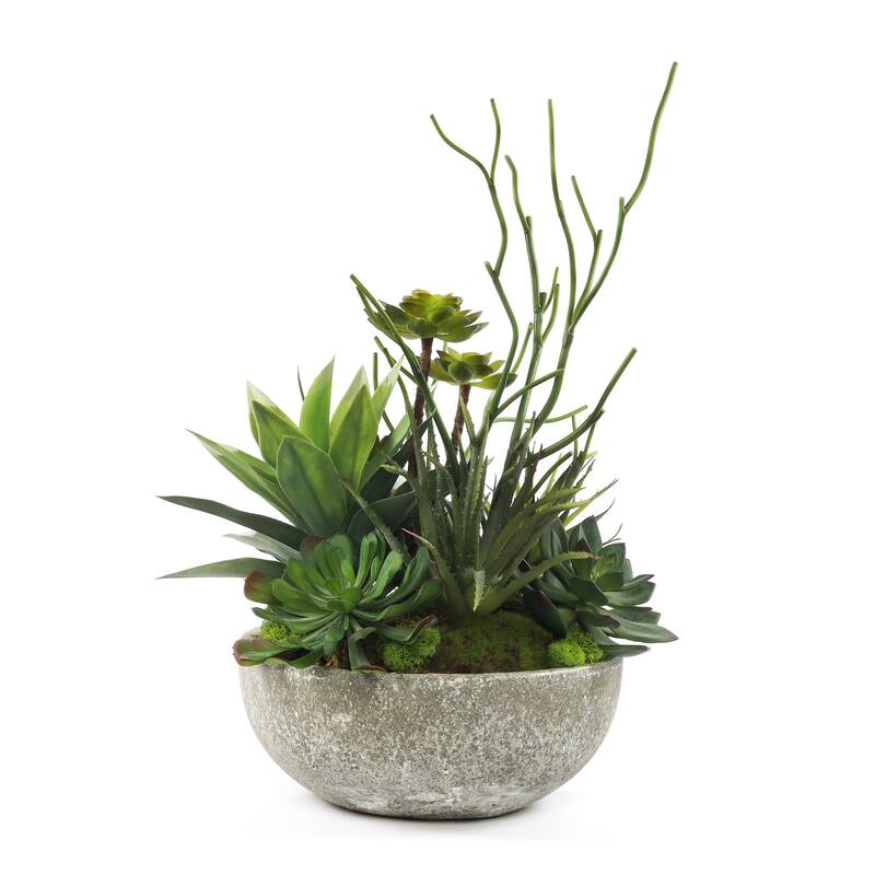 Faux Succulents & Agave Plant in Round Concrete Bowl - Green