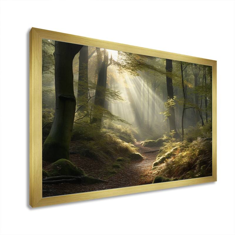 Designart "Light Streams Through Forest Iii" Landscape Forest Framed Canvas Art Print